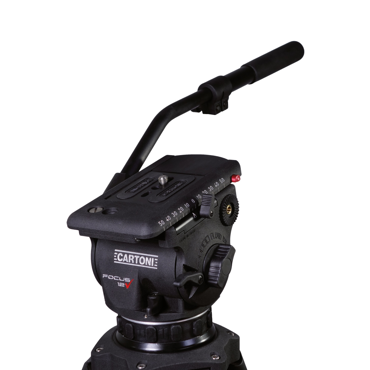Focus12 1