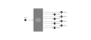 1_fad133ea-c60a-11e3-bdae-1c6f65210bed.PNG