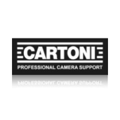 Cartoni