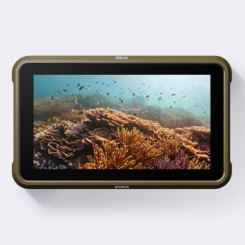 Atomos Ninja 5.2" 4K HDMI Recording Monitor накамерный видеомонитор-рекордер 