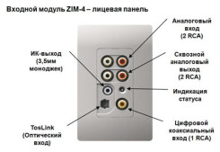 ZON Audio ZIM-4 модуль входов 