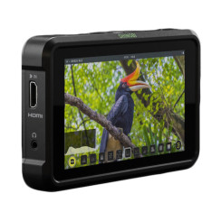Atomos Shinobi монитор 5-дюймовый HDMI 