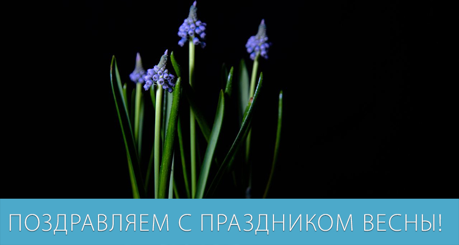 Поздравляем с праздником Весны Поздравляем с праздником Весны